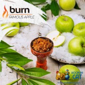Табак Burn Famous Apple (Яблоко) 100г Акцизный